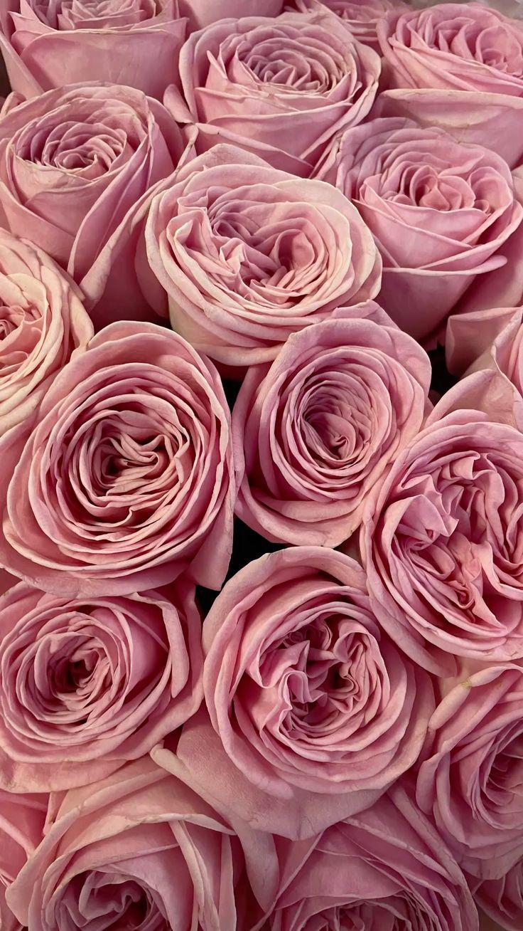 Enchanted Evening Blossom Array